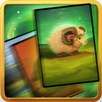 Quest Cards APK