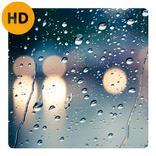 Rain Sounds