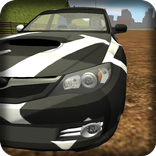 Rally Cars Simulator