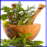 Ayurvedic Medicine Ayurved