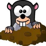 Mole Hunt