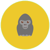 Random Animals APK