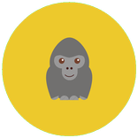 Random Animals
