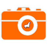 Camera Trap | Trail Camera