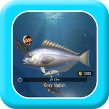 Tips for Fishing Hook