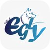 Ville d'Egly APK
