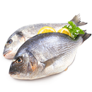 Fish Recipes APK