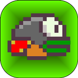 Ugly Bird