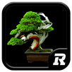 Design Bonsai Ideas APK