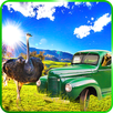 Euro Farm Simulator: Ostrich-APK