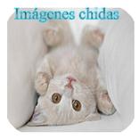 Imágenes chidas