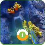Aquarium 3D Wall & Lock