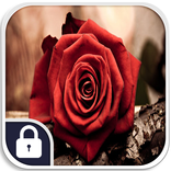 Rose Lock Screen