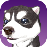 Buddy The Virtual Puppy