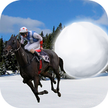 Farm Animal Rider : Zoo Safari