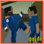 Guide of Block Strike Skin Changer