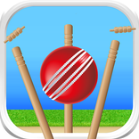 Cricket - Defend the Wicket