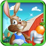 ”Bunny Run