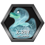 X-ray