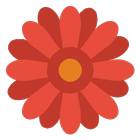 Flower Match icon