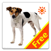 Kids English Flash Card APK
