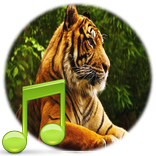 Animal Sounds