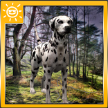 Simulador de dalmatian