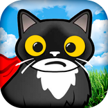 Cat's adventure