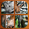 Animal jigsaw puzzles APK