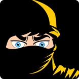 Ninja Ari
