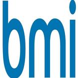 BMI Index