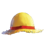 Remember Luffy
