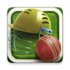 Hand Cricket Pro APK