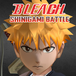 ”Shinigami Soul Fighting