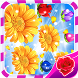 Garden : Flower Blast Soda
