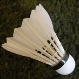 Badminton Counter