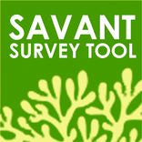 Savant