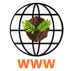 Super Lite Powerful Browser APK