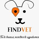 FindVet APK