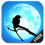 The Crow Rock Metal Radio Free