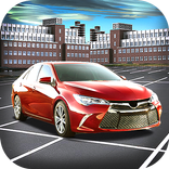 Car Driver Parking