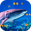 3D Angry Shark APK