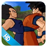 Dragon Z Fighter - Shin Budokai