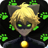 Miraculous Cat Noir Adventure