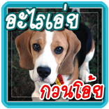 อะไรเอ่ย กวนโอ้ย