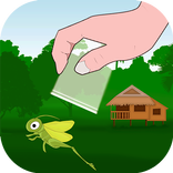 Grasshopper Catch