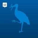 APK Den Haag App