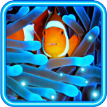 Underwater World