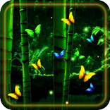 Butterflies Jungles