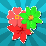 Flower Slice
